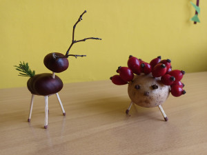 IMG_20211026_110126