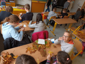 IMG_20211026_110647