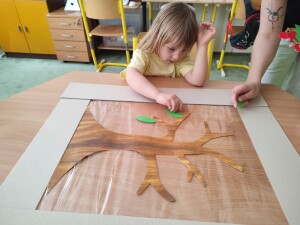 IMG_20240531_084654x